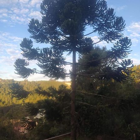 Loft Aconchegante - Vista Para As Montanhas Campos do Jordão Екстериор снимка